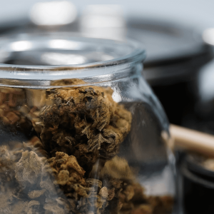 brown cannabis flower in jar