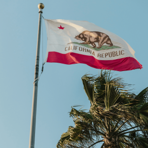 california flag and palm trees