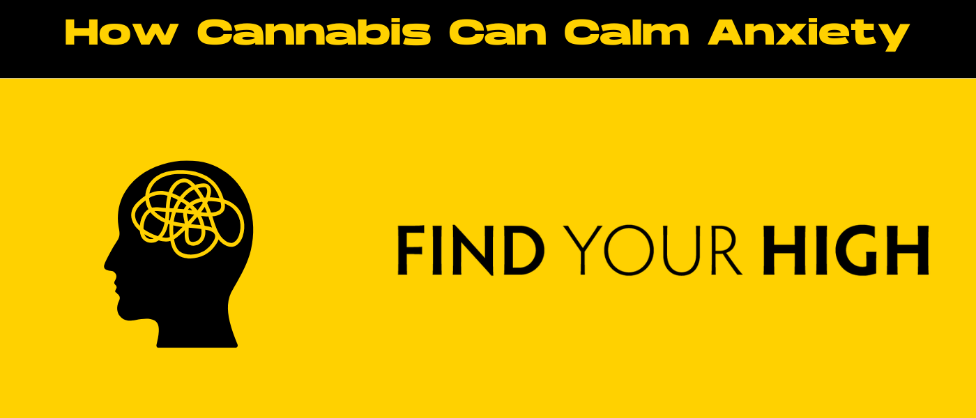 black and yellow banner image for cannabis for anxiety blog