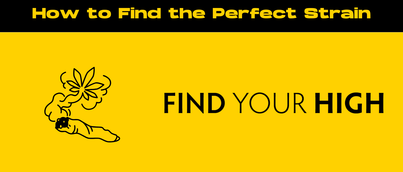 black and yellow banner image for How to find my perfect weed strain​ blog