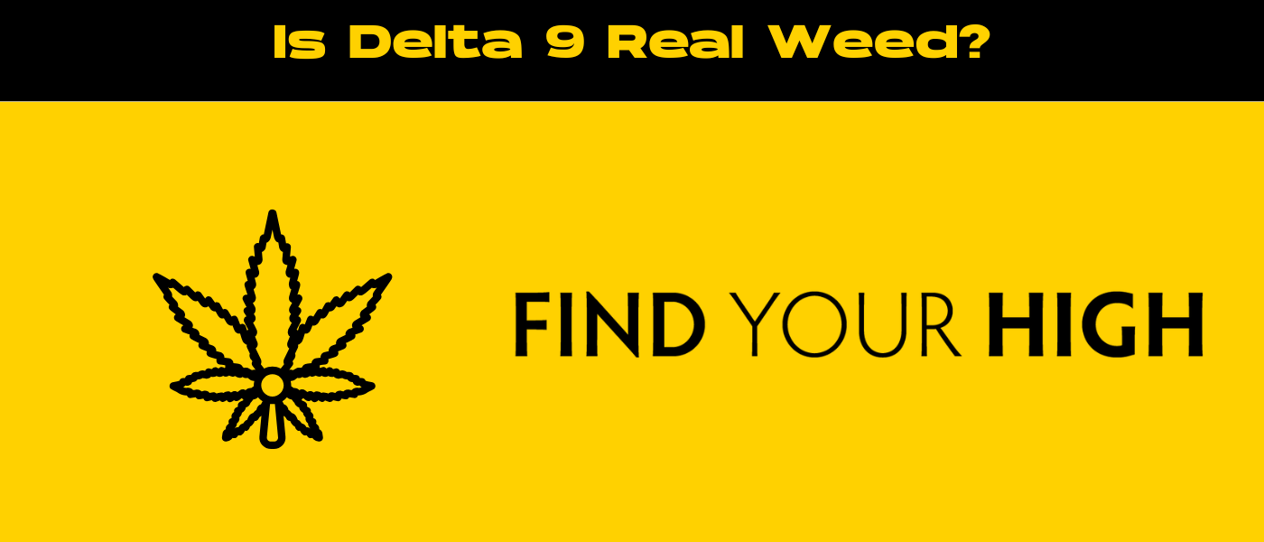 black and yellow banner image for is delta 9 real weed blog