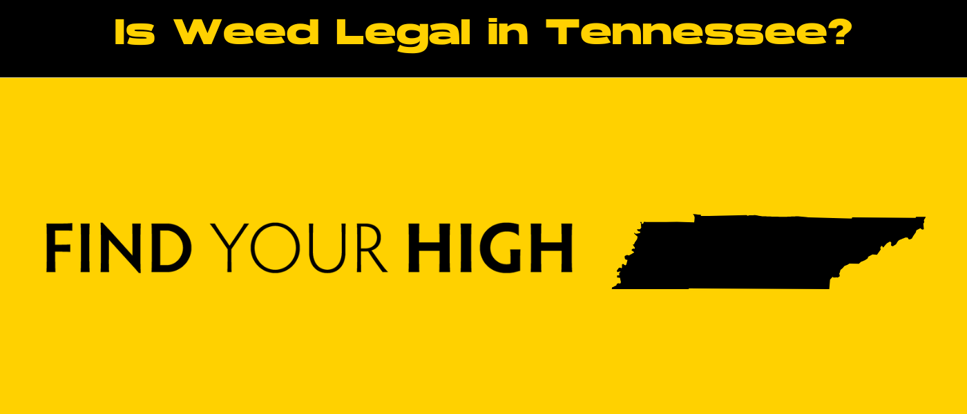 black and yellow banner image for is weed legal in tennessee blog