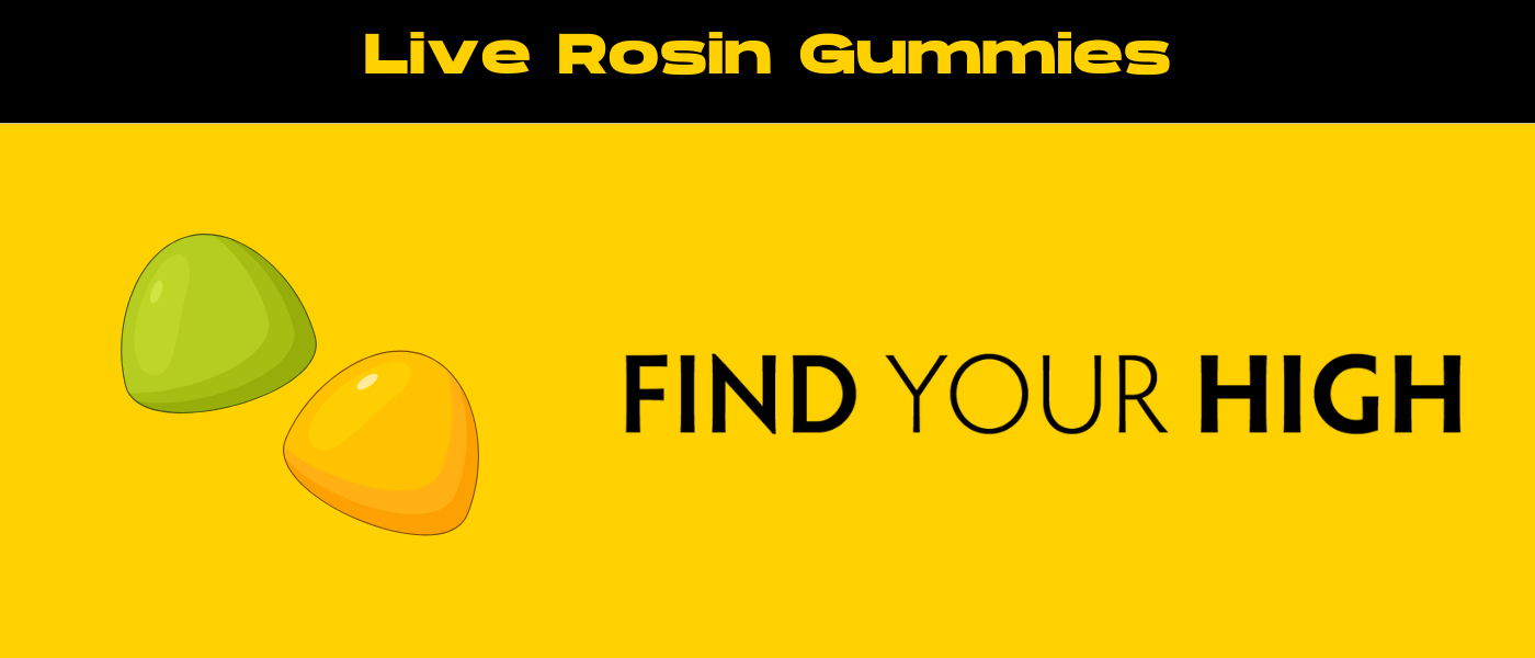 black and yellow banner image for live rosin gummies blog