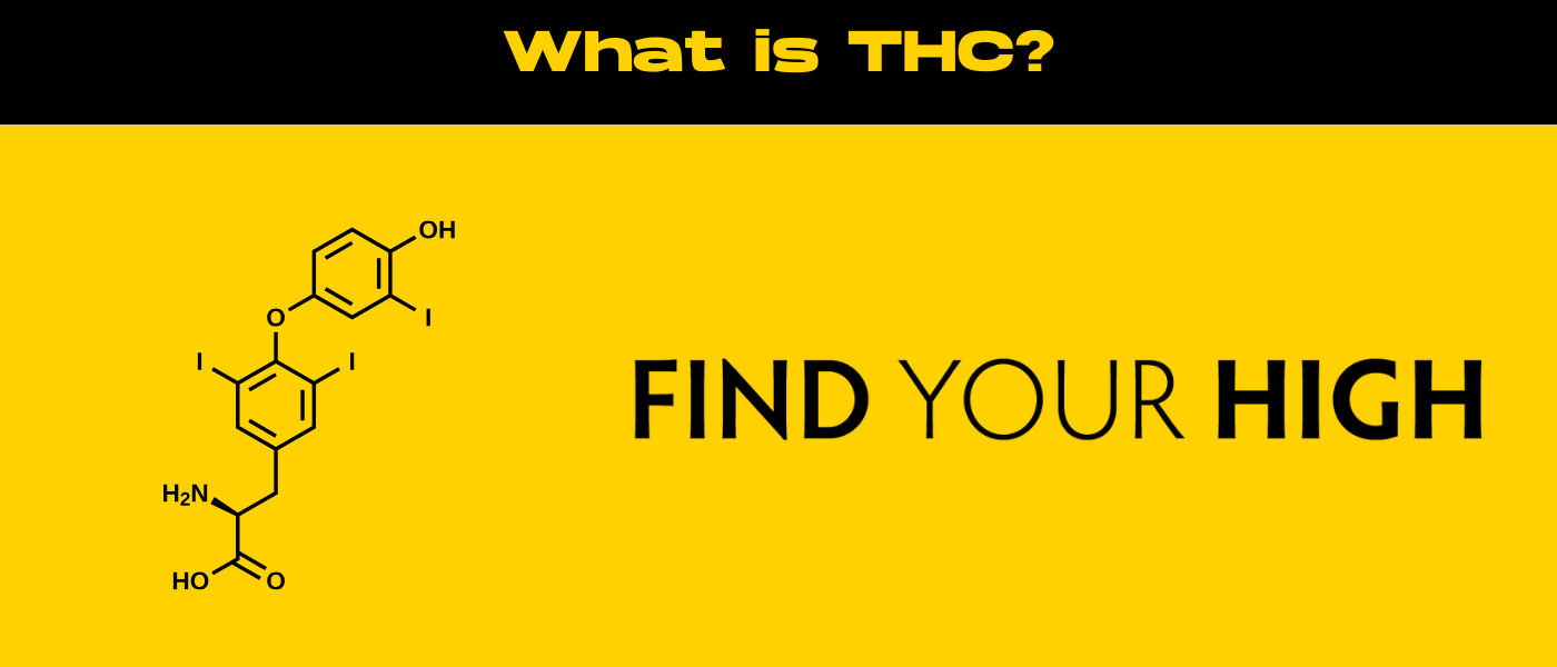 black and yellow banner image for what is thc blog