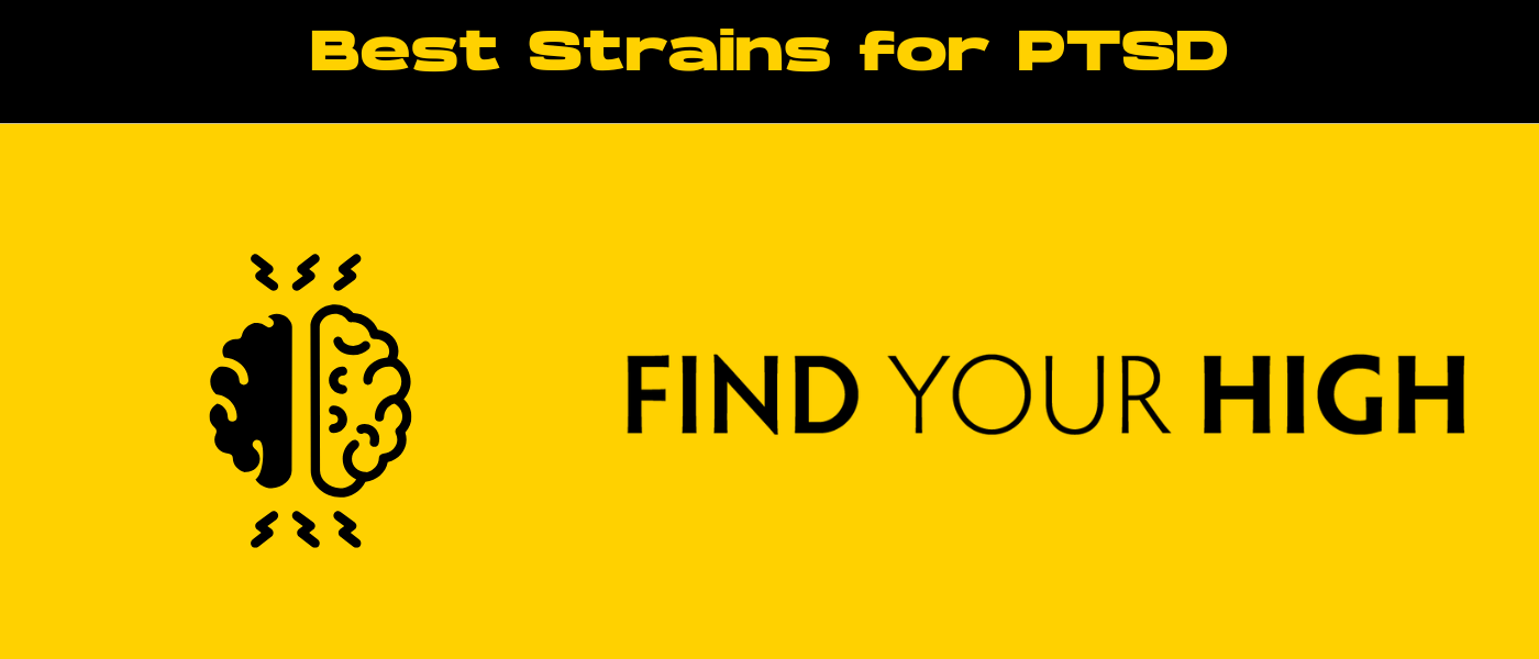 black and yellow banner image for best strains for PTSD blog