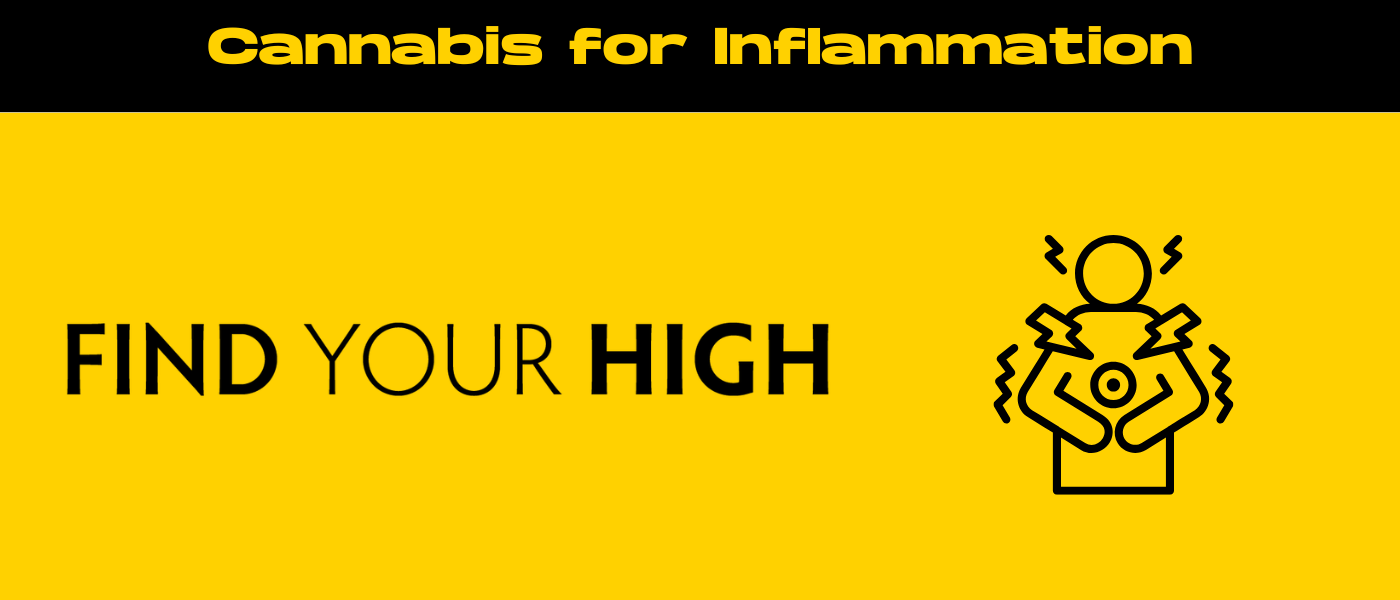 black and yellow banner image for cannabis for inflammation blog
