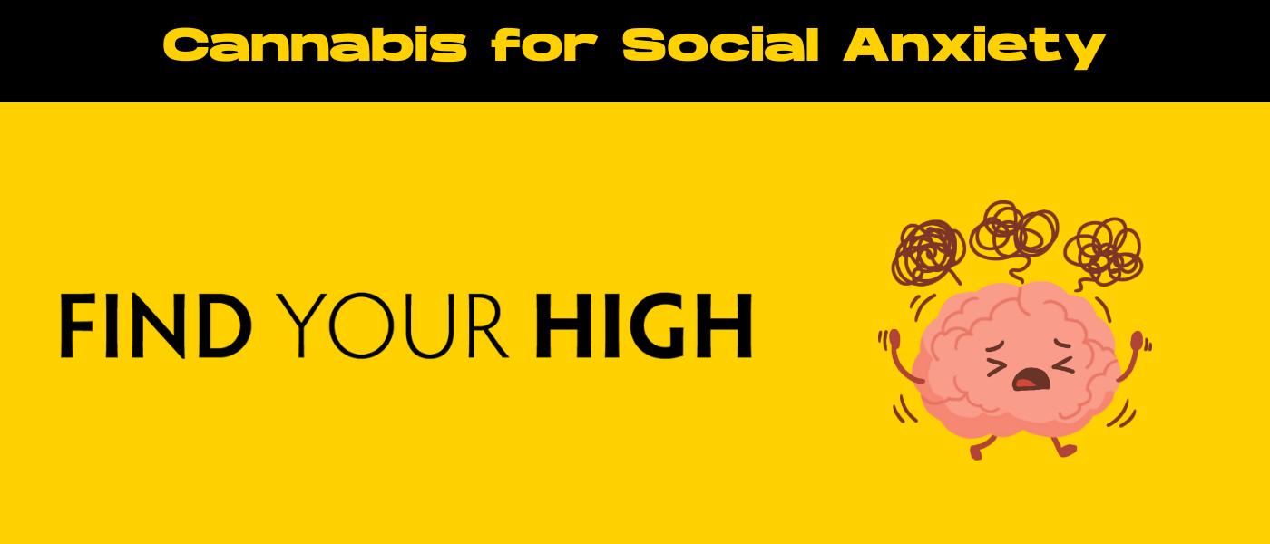 black and yellow banner image for cannabis social anxiety blog
