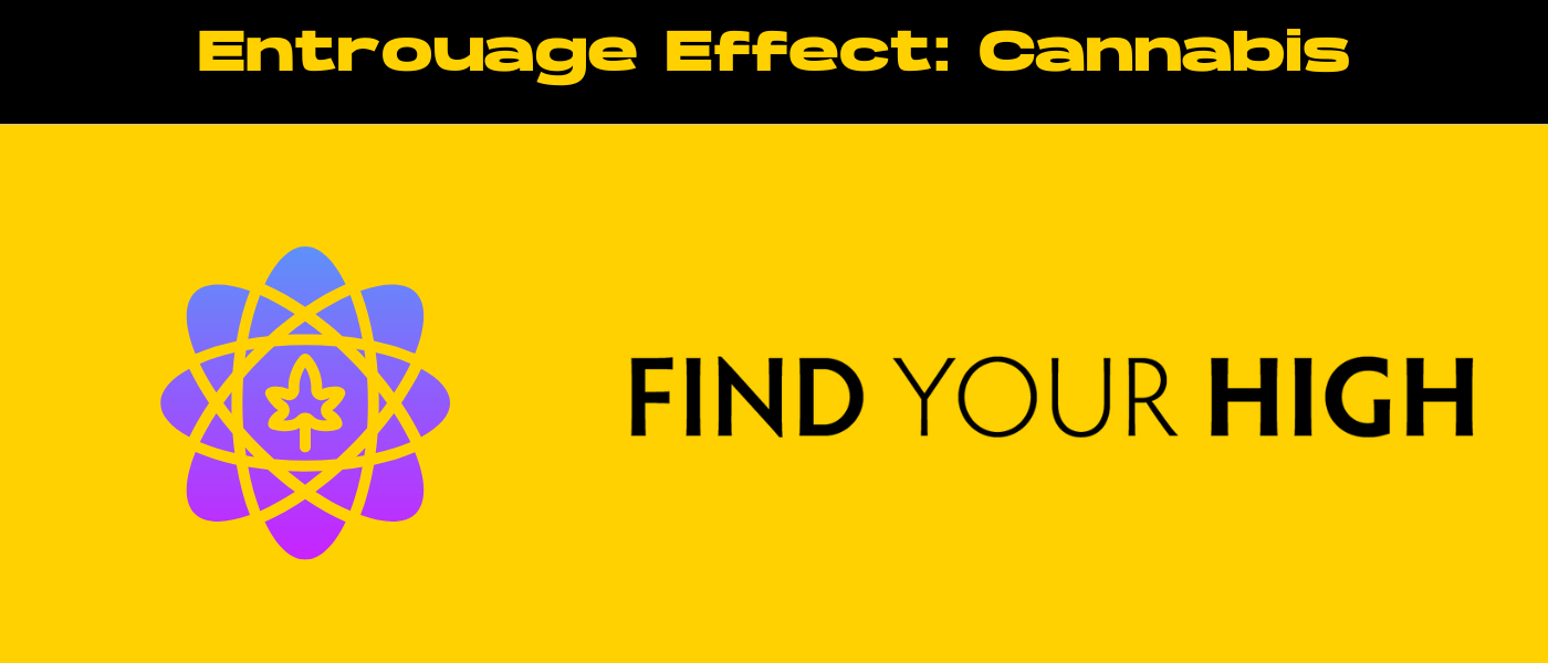 black and yellow banner image for entourage effect blog
