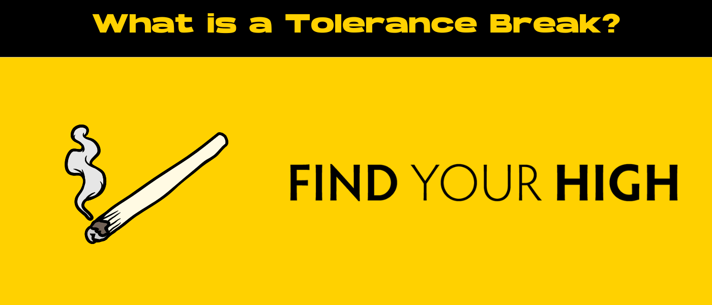 black and yellow banner image for cannabis tolerance break blog