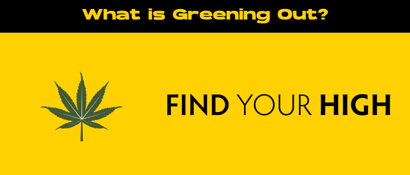 black and yellow banner image for greening out blog