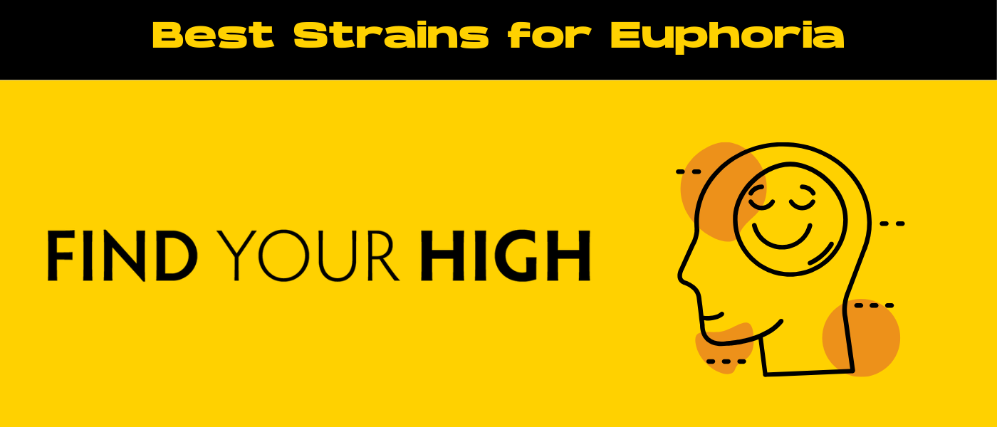 black and yellow banner image for best strains for euphoria blog