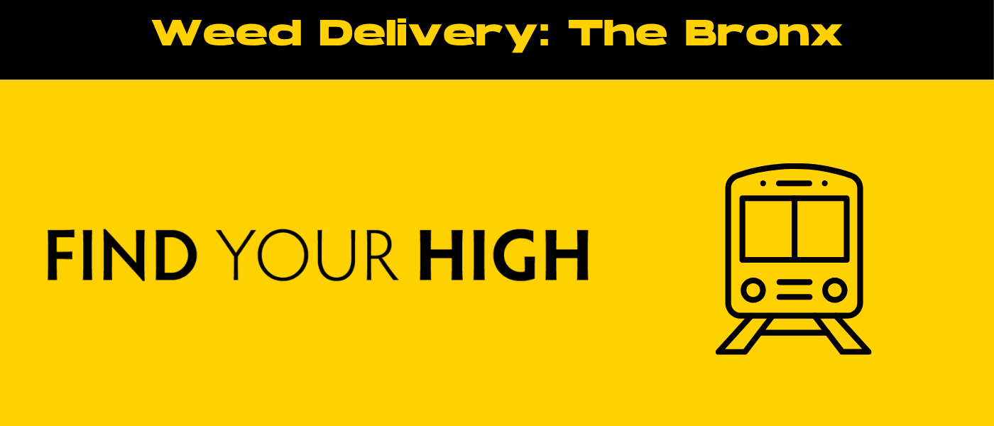 black and yellow banner image for weed delivery bronx blog