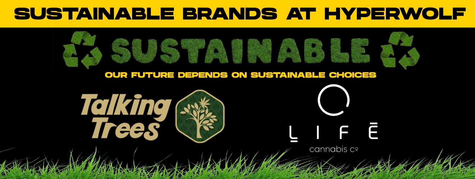 Sustainable Brands at HyperWolf Choose Your Brand Wisely
