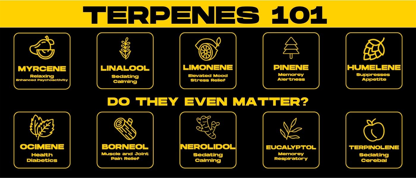 Terpenes 101 All About Terpenes Hyperwolf